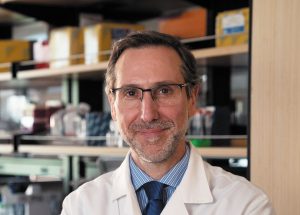 Antoni Ribas, MD, PhD